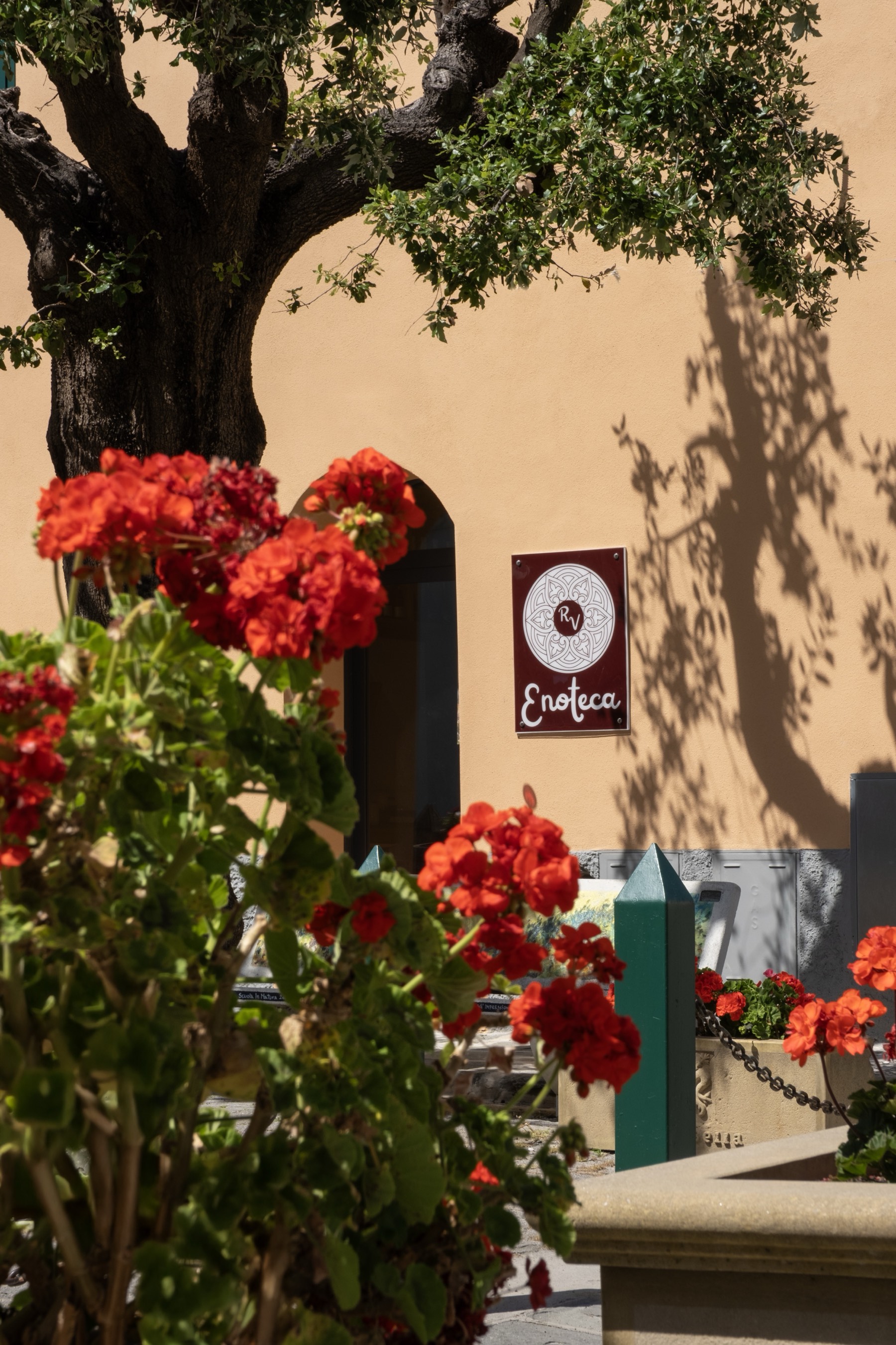 Local enoteca Riparbella